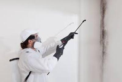 Top Flooring Contractor in Elizabeth - Quality Services